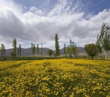 شهرهای-شهرنیکی-ویست