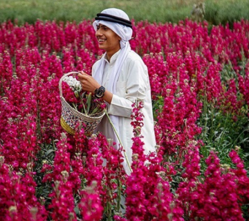 شهرهای شهرنیکی حمیدیه